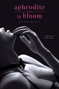 Taboo An Erotic Romance Collection