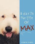 A Day in the Life of Max