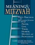 Meaning & Mitzvah: Daily Practices for Reclaiming Judaism Through Prayer, God, Torah, Hebrew, Mitzvot and Peoplehood