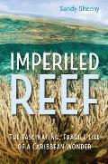 Imperiled Reef The Fascinating Fragile Life of a Caribbean Wonder