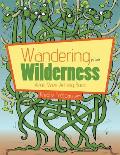 Wandering in the Wilderness: Adult Maze Activity Book