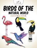 Birds of the Natural World Coloring Book