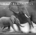 Wild Elephants Conservation in the Age of Extinction