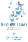 When Spirit Leaps Navigating the Process of Spiritual Awakening