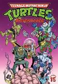 Teenage Mutant Ninja Turtles Adventures Volume 15