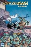 Teenage Mutant Ninja Turtles Usagi Yojimbo