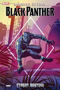 Marvel Action Black Panther Stormy Weather Book One
