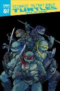 Teenage Mutant Ninja Turtles Reborn Volume 1 From the Ashes