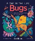 Bugs (a Day in the Life): What Do Bees, Ants, and Dragonflies Get Up to All Day?