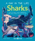 Sharks A Day in the Life What Do Great Whites Hammerheads & Whale Sharks Get Up To All Day
