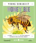 Honey Bee Young Zoologist