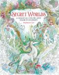 Secret Worlds A Magical Color & Search Journey