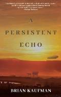 A Persistent Echo