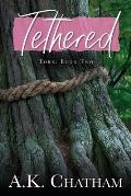 Tethered & Torn: Torn: Book Two