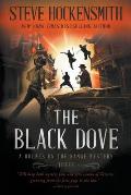 The Black Dove: A Western Mystery Series