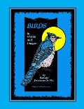 Birds in Words and Images: Original bird poems and bird illustrations in praise of the beauty and mystery of birds