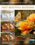 Next Beautiful Blossoms - Grayscale Colouring Book for Adults (Low Contrast): Edition: Full pages