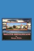 Shelter Shenanigans: What it was like to volunteer at an animal shelter for six years (fictionalized).