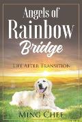 Angels Of Rainbow Bridge: Life After Transition