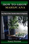 How to Grow Marijuana: Easy Steps to Grow Cannabis Indoors for Beginners