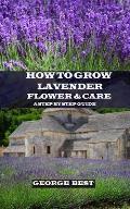 How to Grow Lavender Flower and Care: A Step by Step Guide