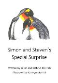 Simon and Steven's Special Surprise