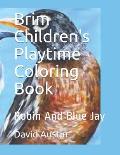 Brim Children's Playtime Coloring Book: Robin And Blue Jay