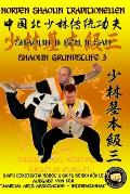 Shaolin Grundstufe 3