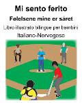 Italiano-Norvegese Mi sento ferito/ F?lelsene mine er s?ret Libro illustrato bilingue per bambini