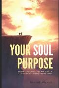 Your Soul Purpose: Reincarnation and the Spectrum of Consciousness in Human Evolution