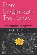 From Underneath The Ashes: A small beam of light can pierce into the sheer veil of darkness.