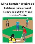 Svenska-Norska Mina k?nslor ?r s?rade/F?lelsene mine er s?ret Tv?spr?kig bilderbok f?r barn