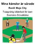 Svenska-Slovakiska Mina k?nslor ?r s?rade/Ranili Moje City Tv?spr?kig bilderbok f?r barn