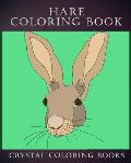 Hare Coloring Book: 30 Simple Line Doodle Style Hare Drawings To Color. A Great Gift For Any Child Or Adults That Love Easy Hand Drawn Art