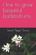 How to grow beautiful Epidendrums