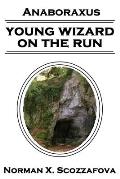 Young Wizard on the Run