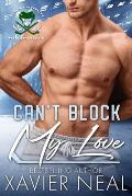 Can't Block My Love: A New Adult Romantic Comedy