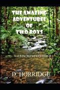 The Amazing Adventures of Two Boys: Bed Time Stories for Children