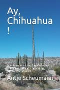 Ay, Chihuahua !: Eine Reise durch die Bundesstaaten Chihuahua, Sinaloa + Sonora im Nordwesten Mexicos
