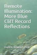 Remote Illumination: More Blue Cliff Record Reflections