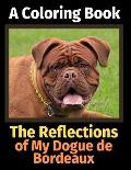 The Reflections of My Dogue de Bordeaux: A Coloring Book