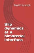 Slip dynamics at a bimaterial interface
