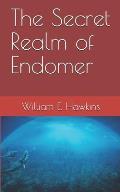 The Secret Realm of Endomer