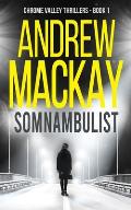 Somnambulist: a.k.a Sleepwalker - A Contemporary Psychological Thriller