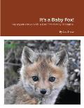 It's a Baby Fox!