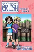 Crosstown Crush: Vol 1 Book 3