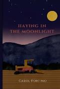 Haying in the Moonlight