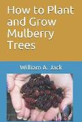 How to Plant and Grow Mulberry Trees