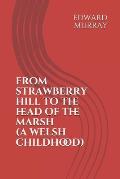 From Strawberry Hill to the Head of the Marsh: A Welsh Childhood