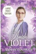 Amish Violet LARGE PRINT: Amish Romance